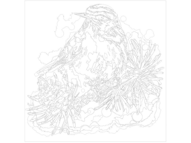 Картина по номерам «Птица» — картинка 3