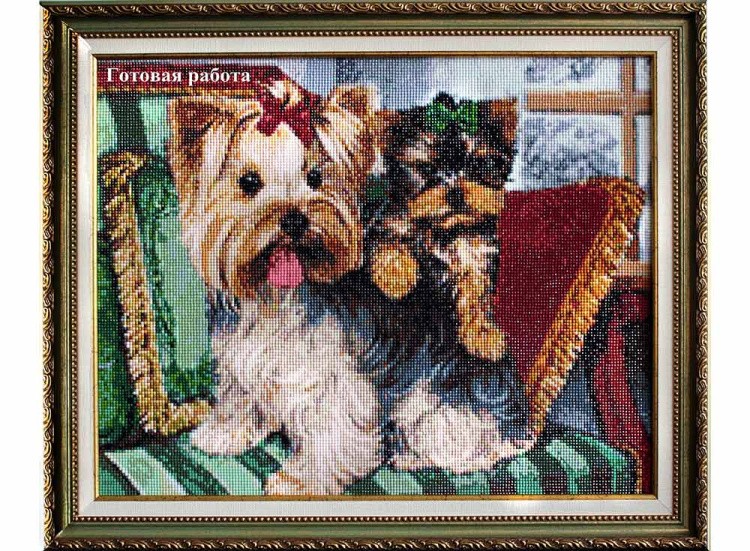 Алмазная вышивка «Йоркширские терьеры» — картинка 3