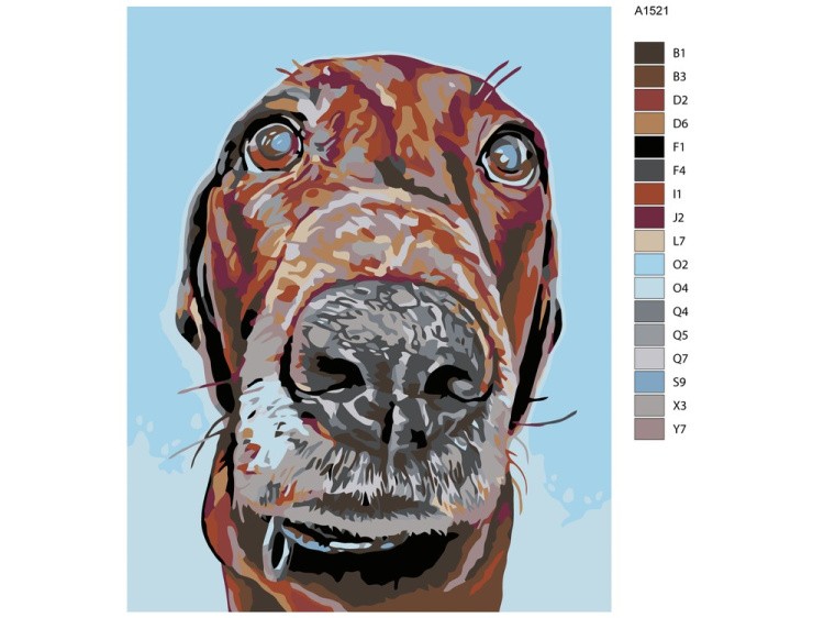 Картина по номерам «Джек» — картинка 2