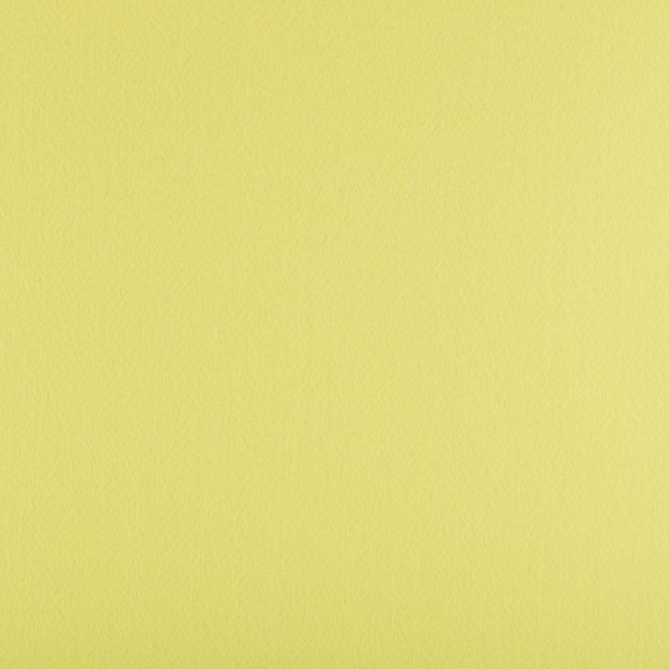 Фетр Premium декоративный, жесткий, 1,2 мм, 111 см по 50 ярдов (4572 см), 1 шт., цвет: 818 светло-желтый, Gamma