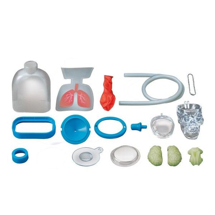 Набор юного врача «Анатомия человека» — картинка 3