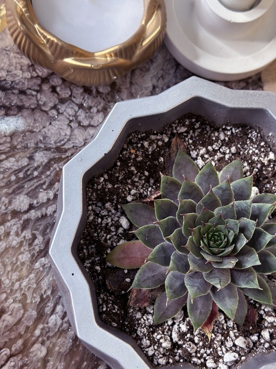 Силиконовый молд - Миска, d 15 см, 1 шт. — картинка 3