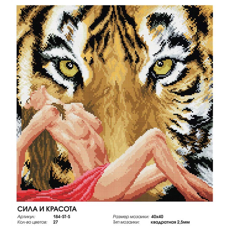 Алмазная вышивка «Сила и красота» — картинка 2