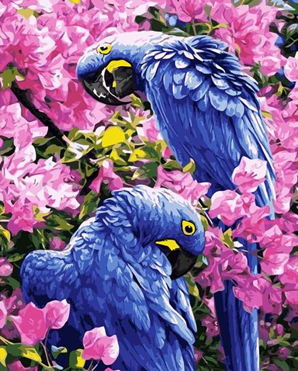 Картина по номерам «Синие попугаи»