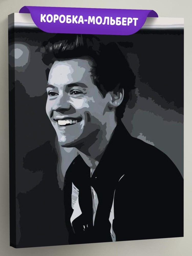 Картина по номерам «Harry Styles»