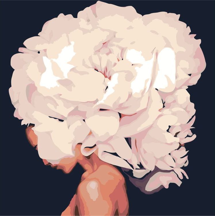 Картина по номерам «Голова-цветок»
