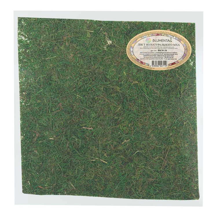 Лист из натурального мха Blumentag, 20 см — картинка 2