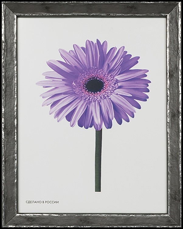 Рамка для картин «Viola» темно-серая, 15x20 см — картинка 4