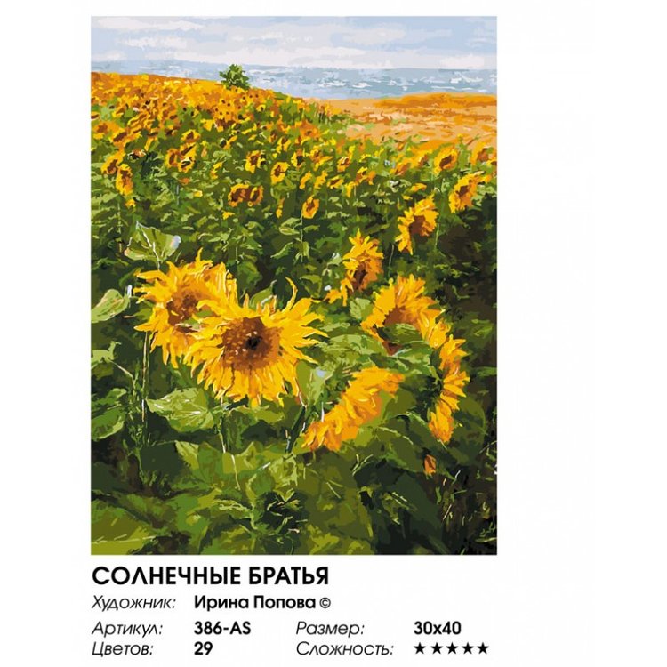 Картина по номерам «Солнечные братья» — картинка 2