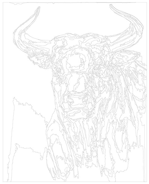 Картина по номерам «Взгляд быка» — картинка 3