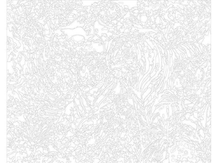 Картина по номерам «Семейство тигров» — картинка 3