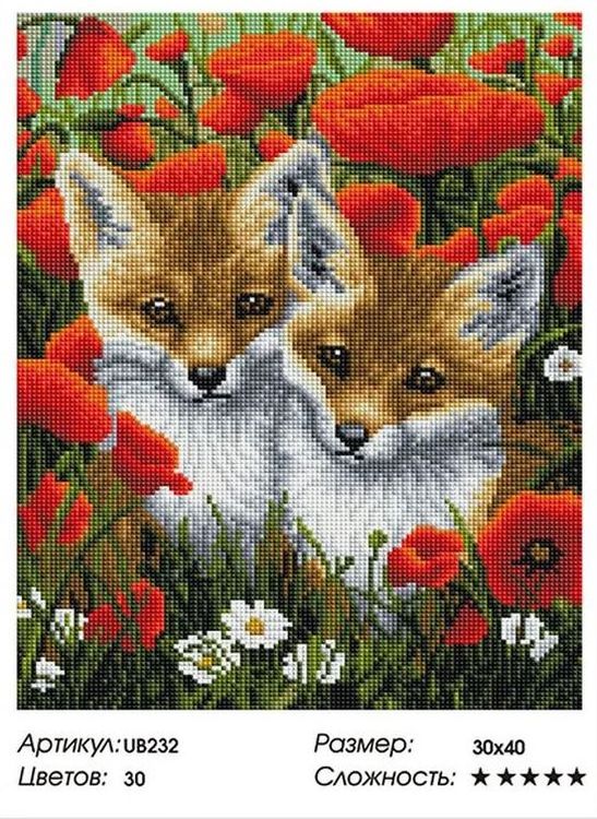 Алмазная вышивка «Лисята в маках» — картинка 2