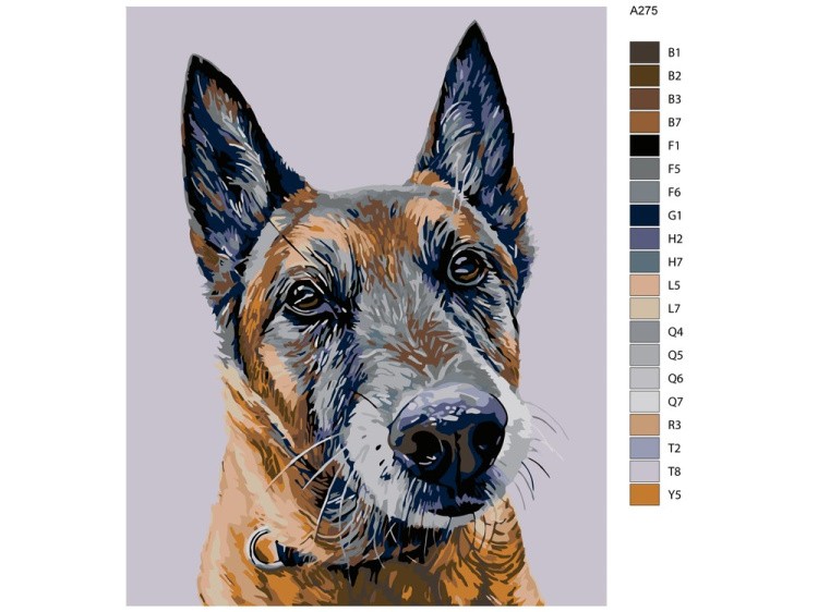 Картина по номерам «Лорд» — картинка 2