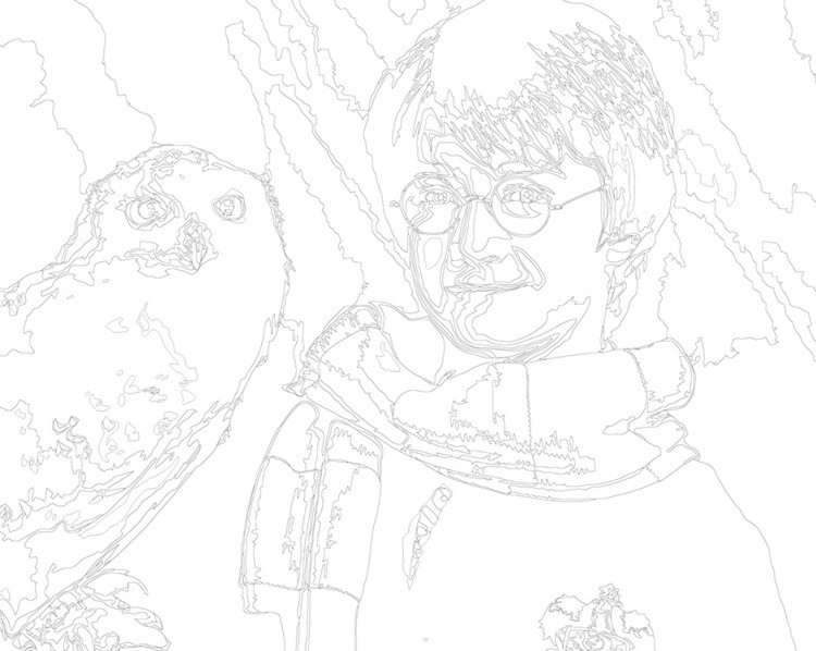 Картина по номерам «Гарри Поттер: сова Букля, шарф Гриффиндор» — картинка 3