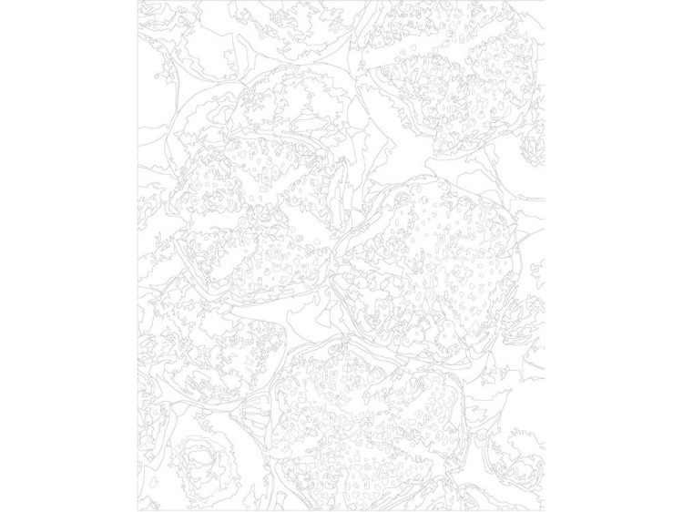 Картина по номерам «Спелые гранаты» — картинка 3