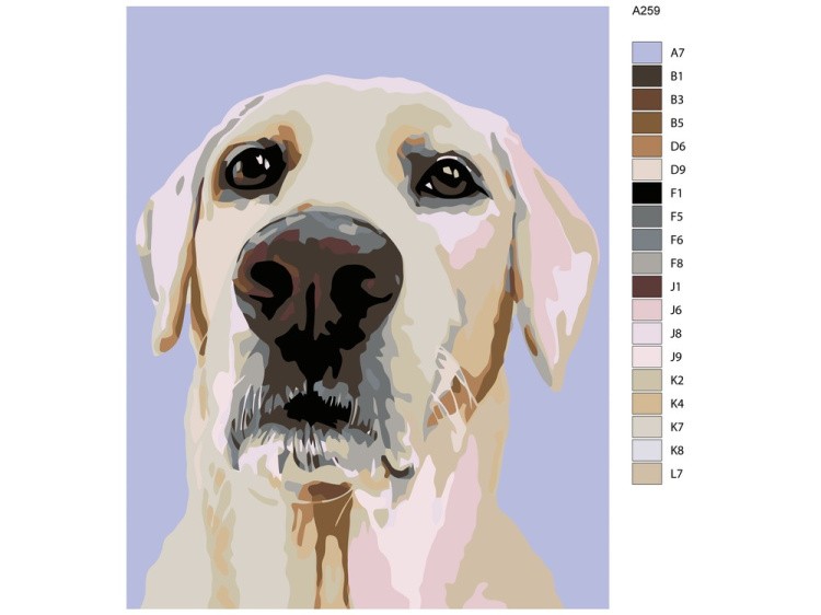 Картина по номерам «Зигги» — картинка 2