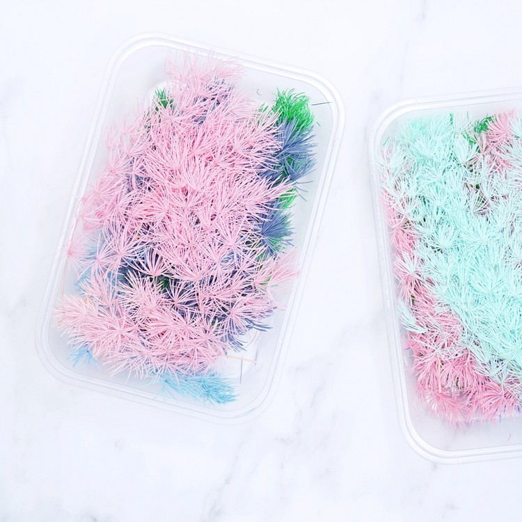 Сухоцветы Аспарагус, 1 упаковка — картинка 4