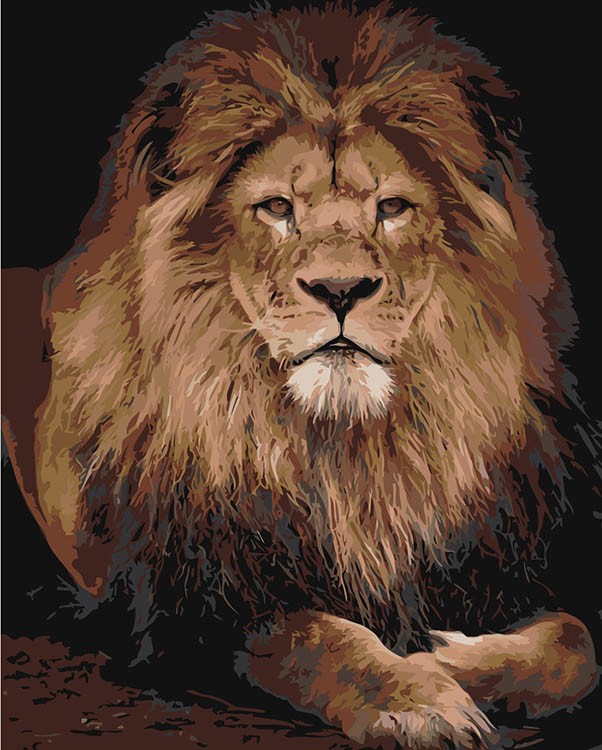 Картина по номерам «Царь зверей»