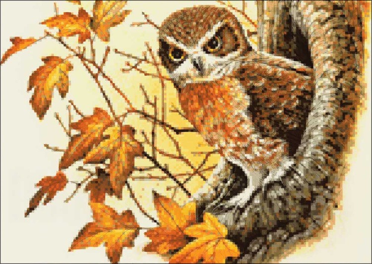 Алмазная вышивка «Филин» — картинка 2