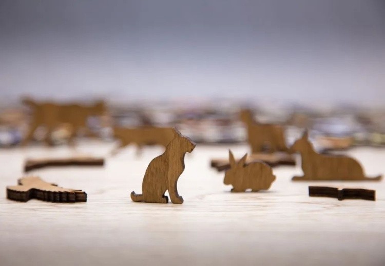 Деревянный пазл-головоломка «Хитрый Лис XL», Eco Wood Art — картинка 3