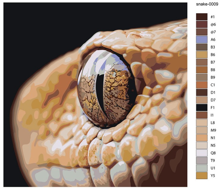 Картина по номерам «Глаз змеи, Символ года, животные 40x40» — картинка 2