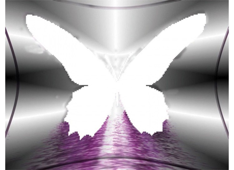 Алмазная вышивка «Бабочка» — картинка 2