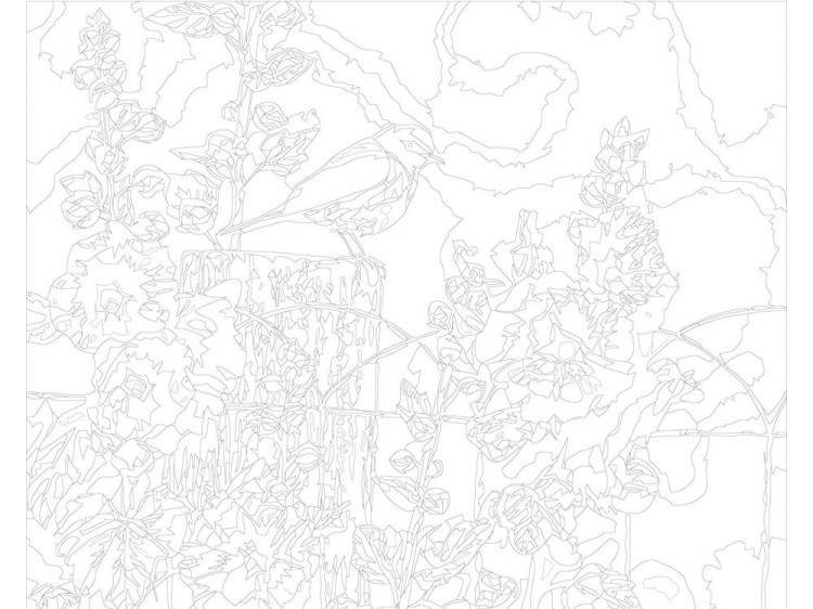 Картина по номерам «Птичка» — картинка 3