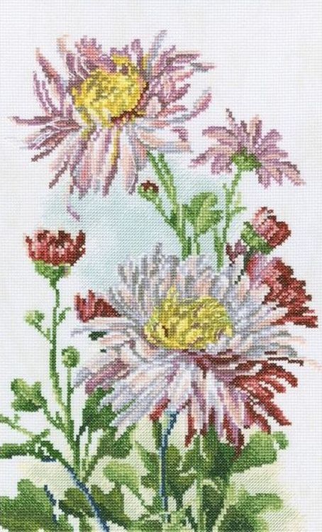 Набор для вышивания «Розовые хризантемы»