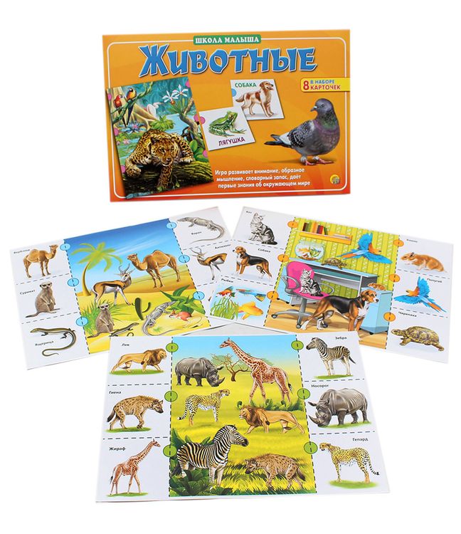 Школа малыша «Животные» — картинка 2