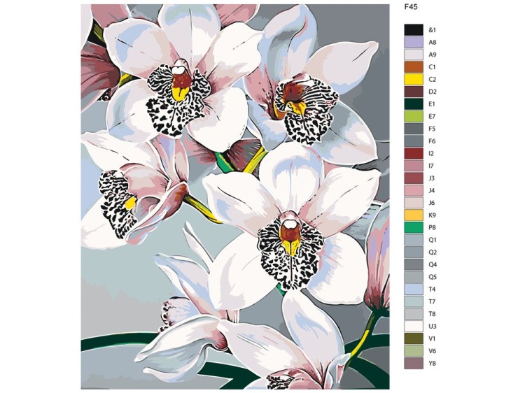 Картина по номерам «Белые орхидеи» — картинка 2