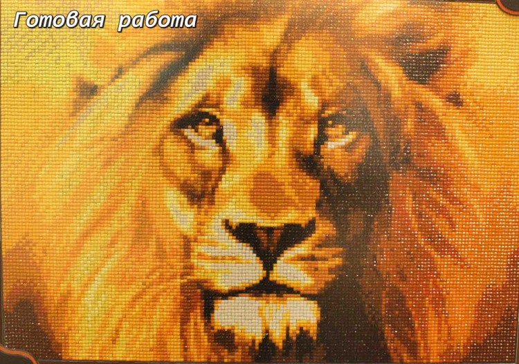 Алмазная вышивка «Лев» — картинка 3
