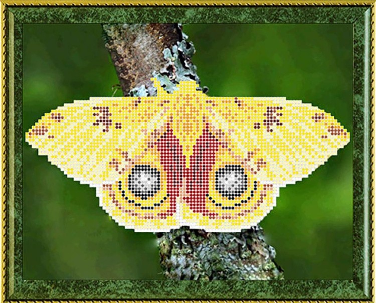 Рисунок на ткани для вышивания бисером «Сатурния ИО» — картинка 2