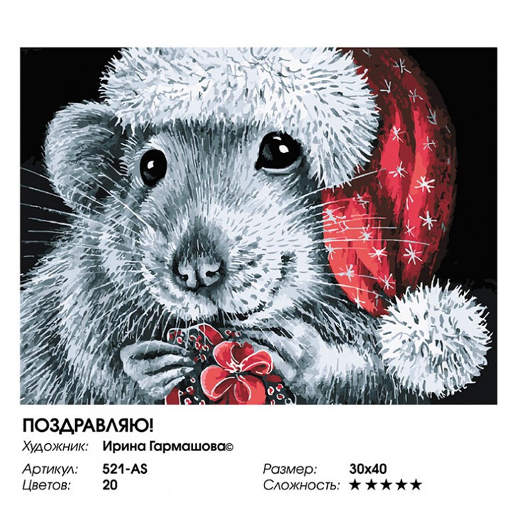 Картина по номерам «Поздравляю!» — картинка 2