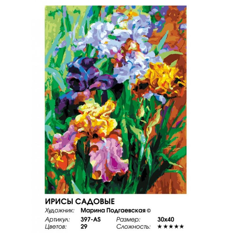 Картина по номерам «Ирисы садовые» — картинка 2