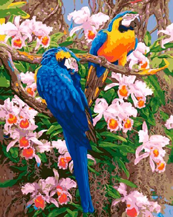 Картина по номерам «Яркие попугаи»