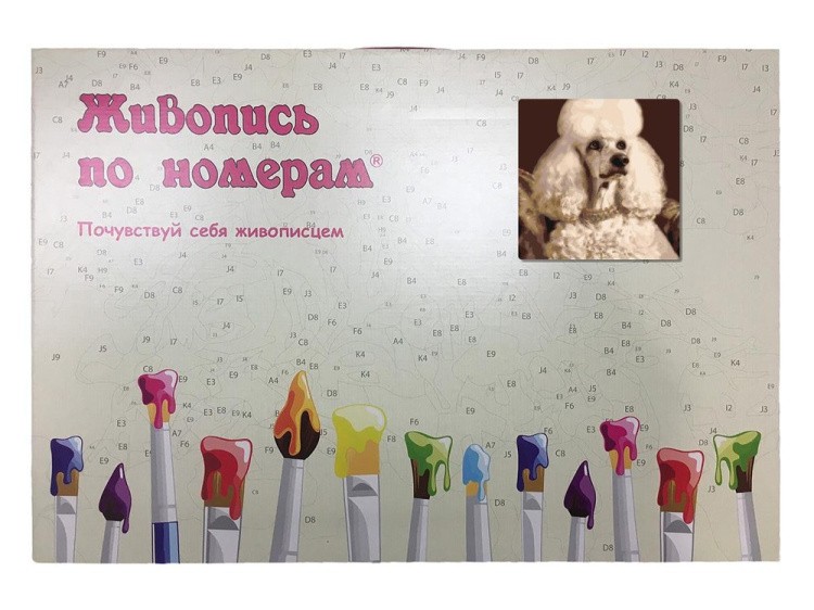 Картина по номерам «Пудель» — картинка 5