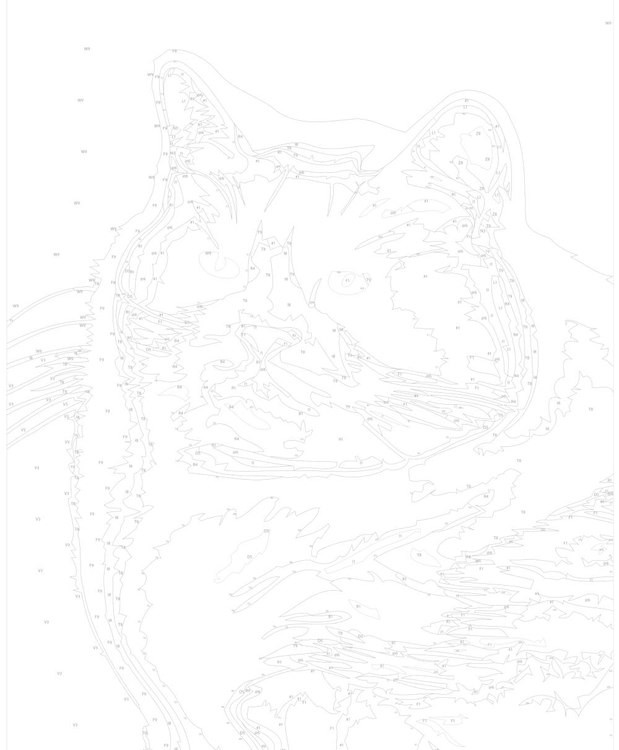 Картина по номерам «Черно-белый толстый котик» — картинка 3