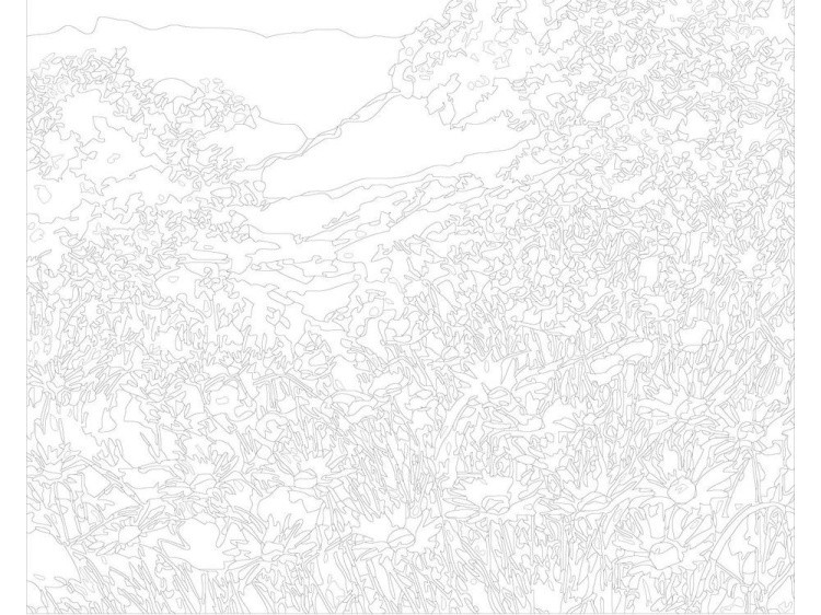 Картина по номерам «Полевые ромашки» — картинка 3