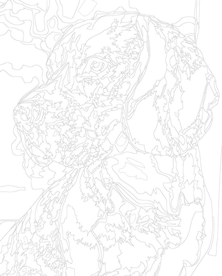 Картина по номерам «Собаки: милый бигль, домашние животные» — картинка 3