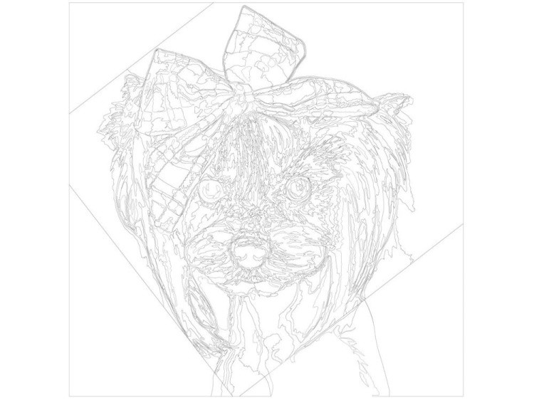 Картина по номерам «Кокетка» — картинка 3