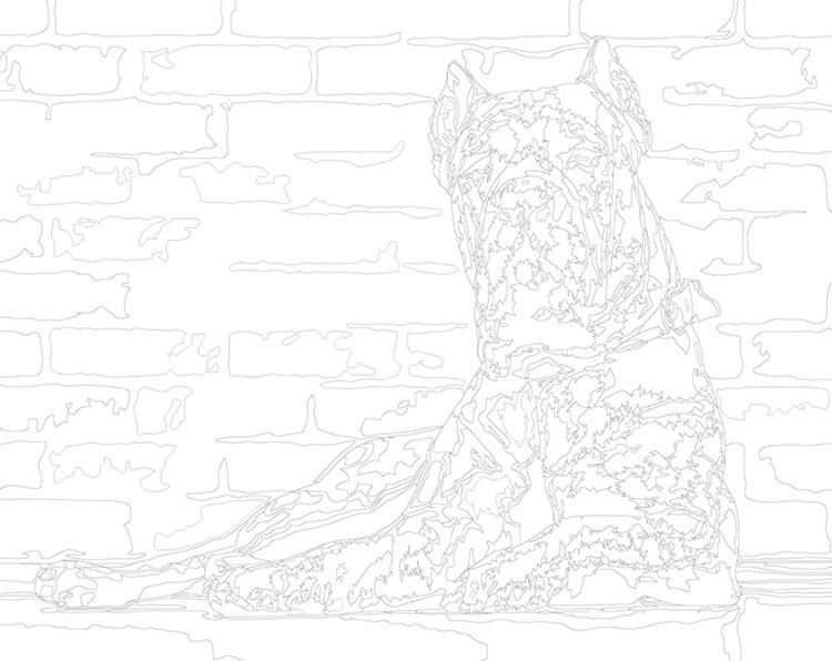 Картина по номерам «Собака Кане корсо черная в ошейнике 40x50» — картинка 3