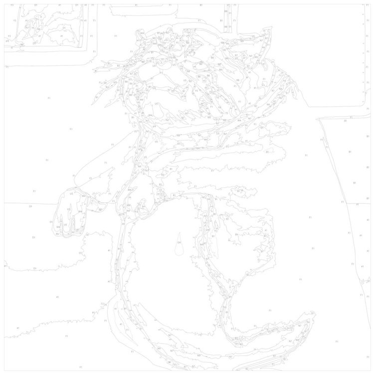 Картина по номерам «Плачущий толстый кот» — картинка 3