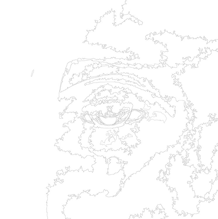 Картина по номерам «Рок и рэп музыкант Джизус: альбом чб» — картинка 3