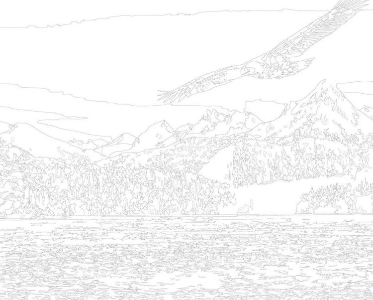 Картина по номерам «Орел на охоте» — картинка 3