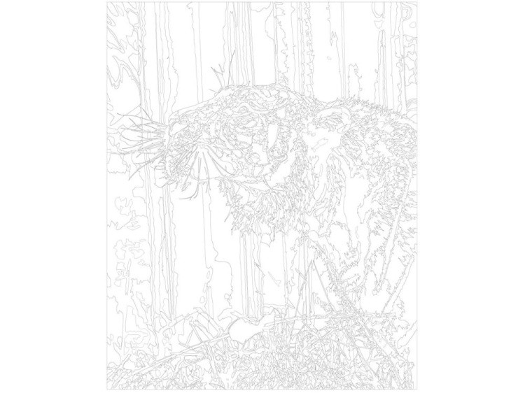 Картина по номерам «Тигр» — картинка 3