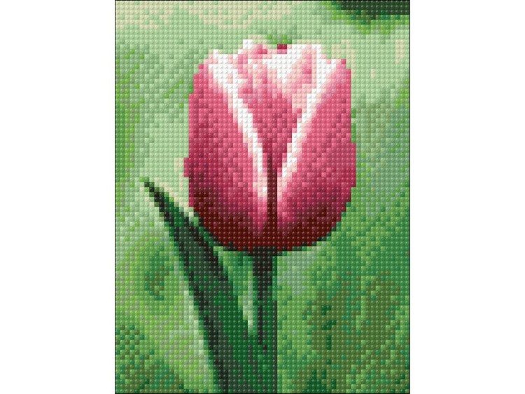 Алмазная вышивка «Тюльпан» — картинка 2