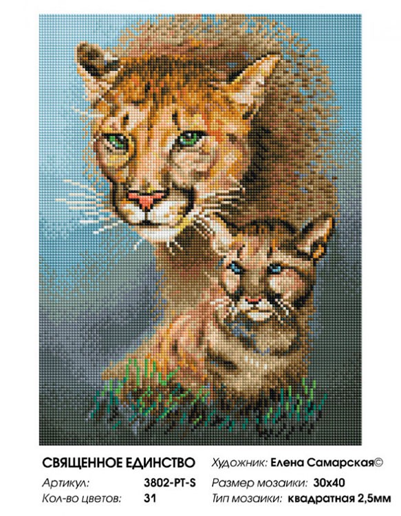Алмазная вышивка «Священное единство» — картинка 2