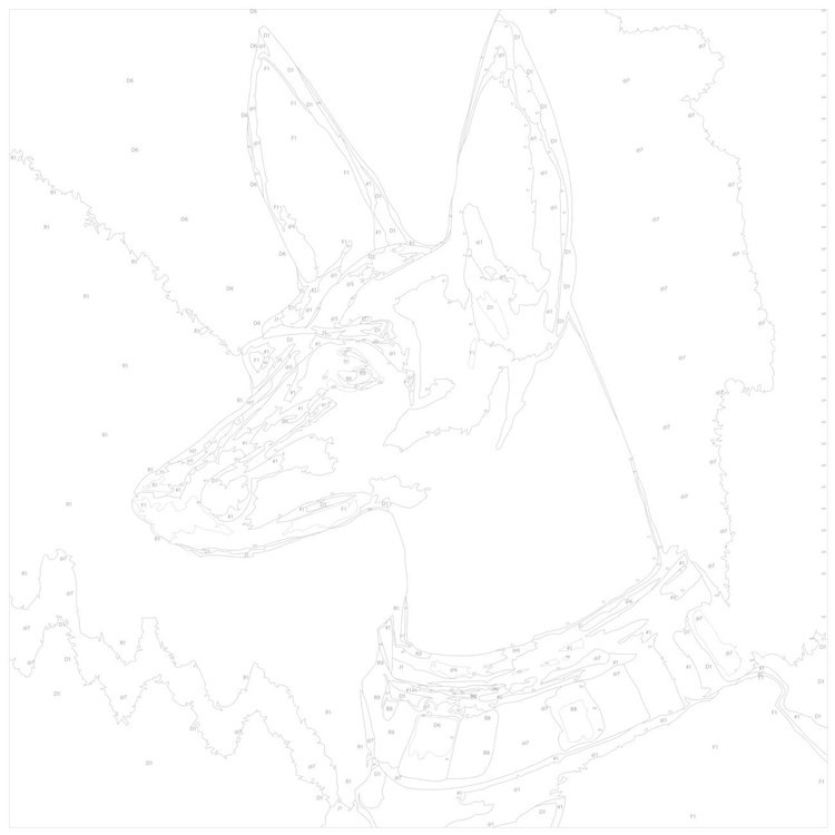 Картина по номерам «Темный пёс» — картинка 3