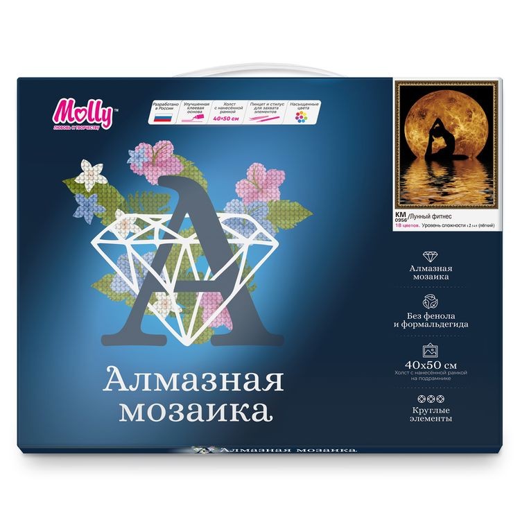 Алмазная вышивка «Лунный фитнес» — картинка 4