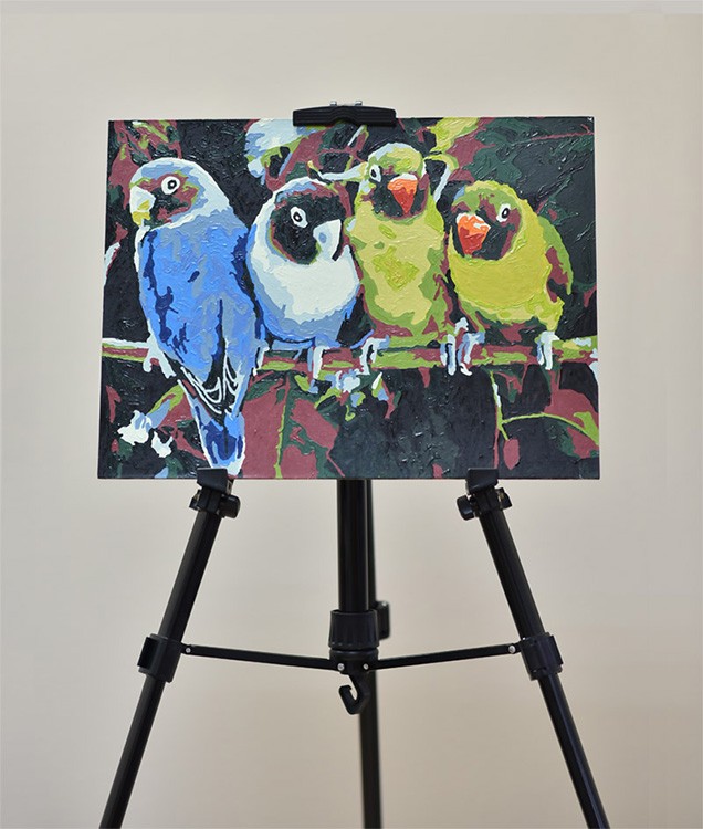 Картина по номерам «Волнистые попугайчики» — картинка 2